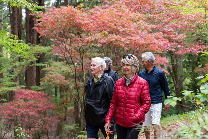 Rere Falls and Eastwoodhill Arboretum Day Tour — Waterfall Views & Rare Trees