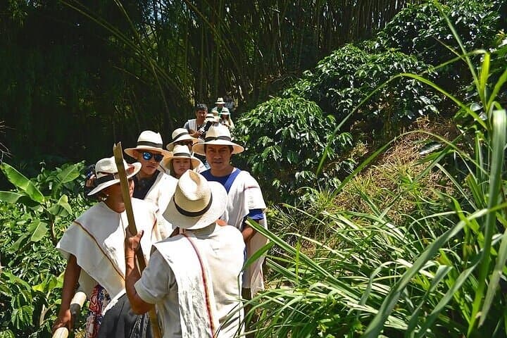 Two-Day Salento & Cocora Valley Coffee and Thermal Tour (Salento to Santa Rosa) photo 2