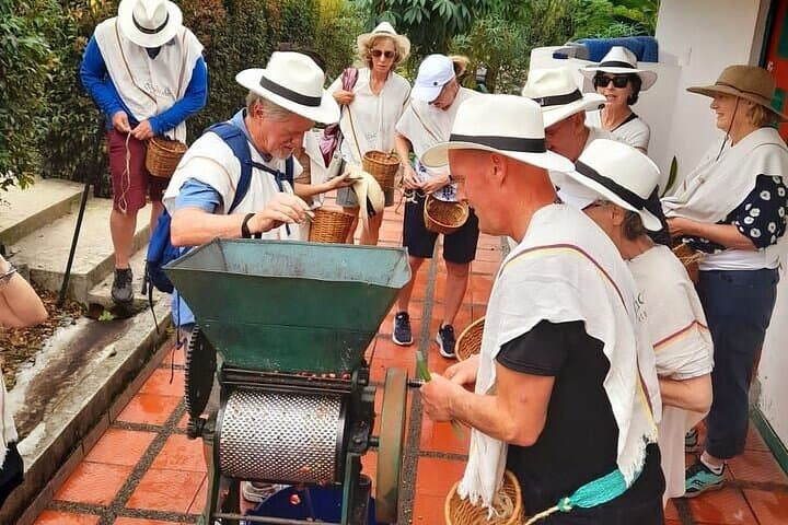 Two-Day Salento & Cocora Valley Coffee and Thermal Tour (Salento to Santa Rosa) photo 3