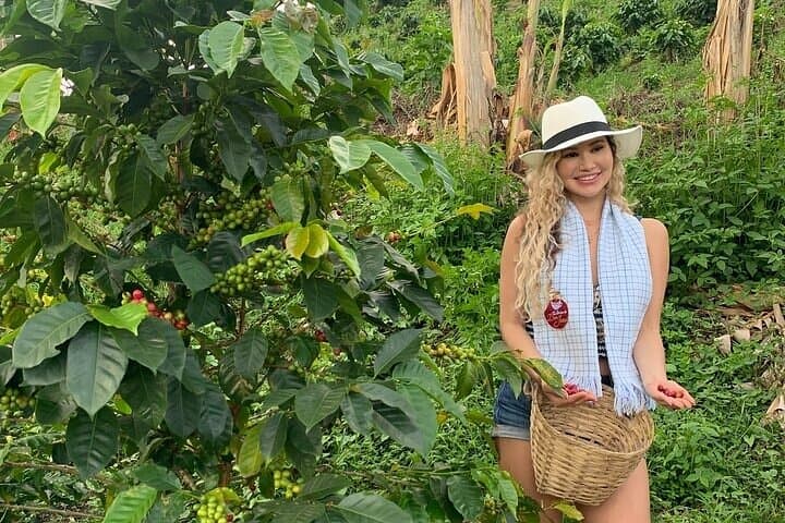 Two-Day Salento & Cocora Valley Coffee and Thermal Tour (Salento to Santa Rosa) photo 4