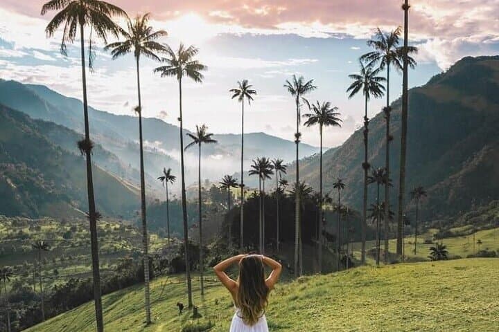 Two-Day Salento & Cocora Valley Coffee and Thermal Tour (Salento to Santa Rosa) photo 1