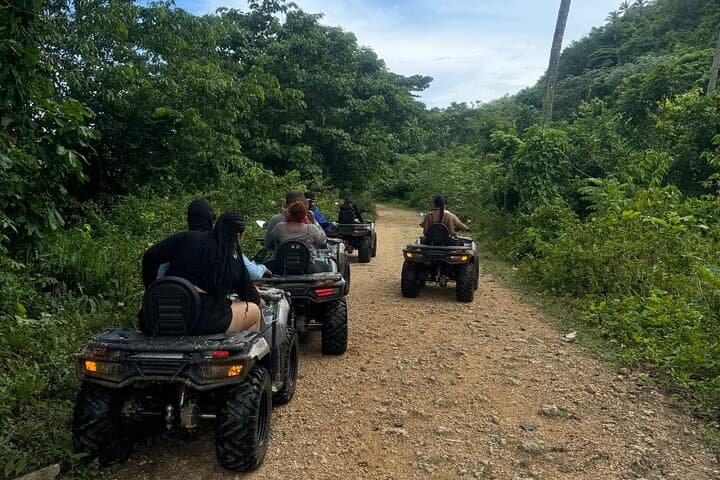 La Terrena 4x4, Coffee & El Limón Waterfall: Full-Day Adventure photo 5