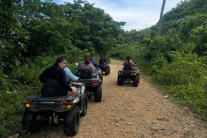 La Terrena 4x4, Coffee & El Limón Waterfall: Full-Day Adventure photo 6