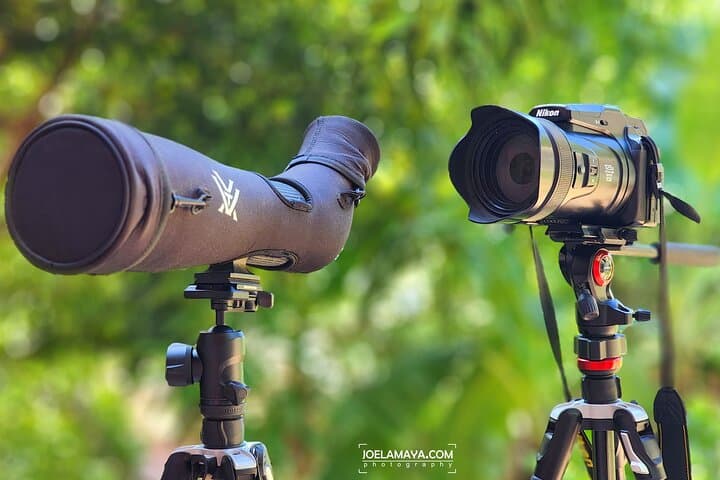 Roatan Birdwatching and Nature Adventure: Guided Tour to Spot Yellow‑naped Parrots photo 2