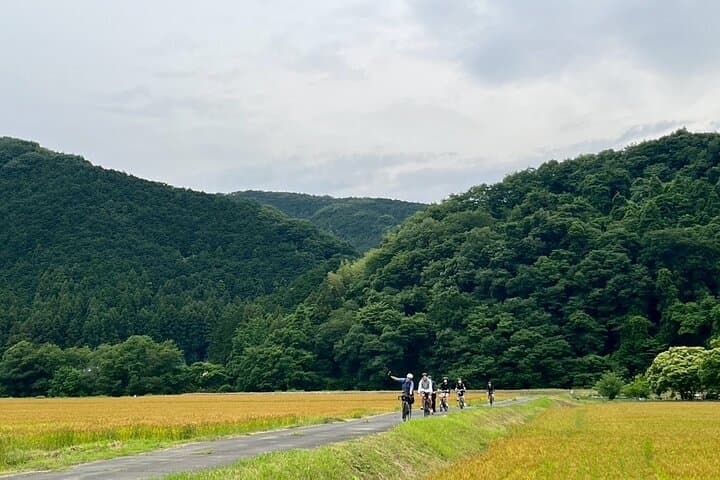 E‑Bike Tour Through Ogawa: Tokyo Countryside Day Trip