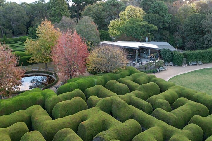 Explore Ashcombe Maze & Lavender Gardens — Australia's Largest Hedge Maze on the Mornington Peninsula photo 2