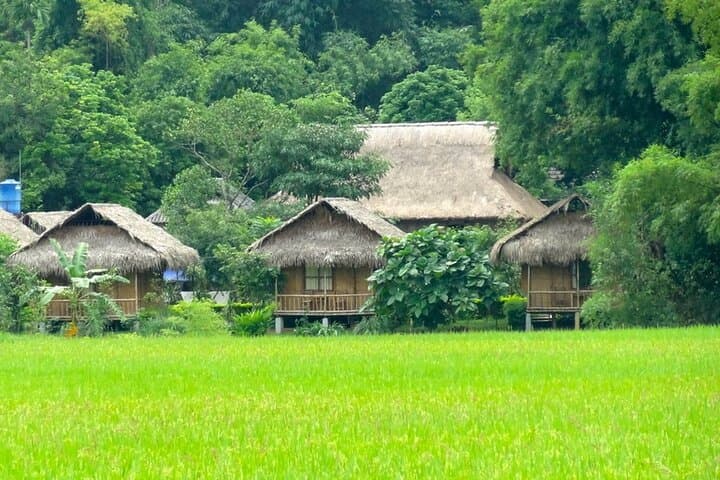 Mai Chau Full Day Tour from Hanoi: Cycling Rice Fields & Thai Stilt Houses