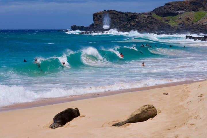 Private Oahu Circle-Island Tour — Customizable 4/6/8-Hour Private Day Trip photo 2