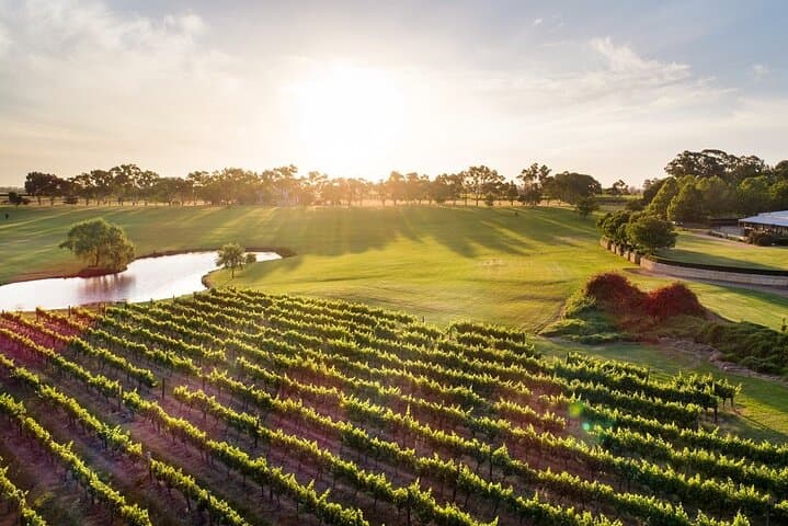 Swan River Cruise and Swan Valley Wine Tasting Day Trip from Perth photo 4