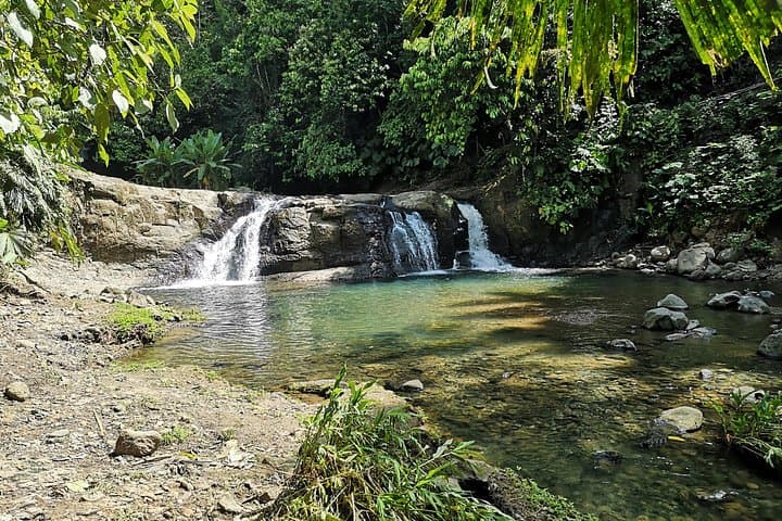 Cahuita National Park & Waterfalls: Coastal Rainforest Walk and Jungle Swim photo 6