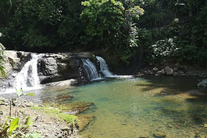 Cahuita National Park & Waterfalls: Coastal Rainforest Walk and Jungle Swim photo 2