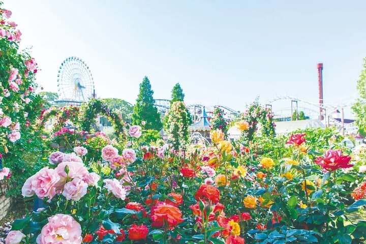 Hirakata Park: Osaka's Historic Amusement Park Escape photo 4
