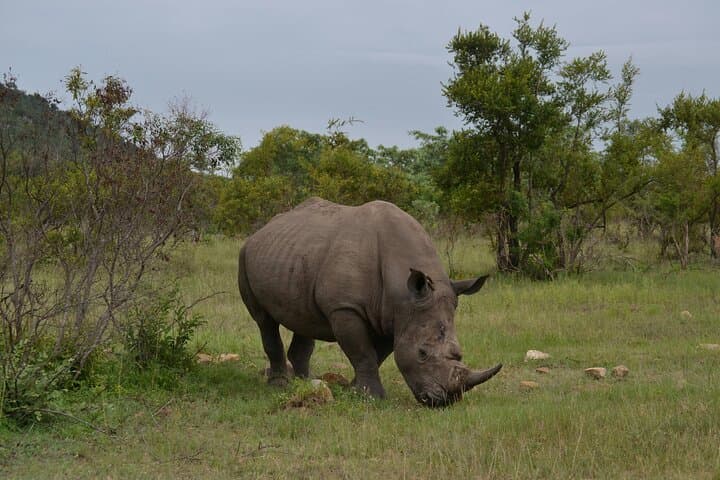 5-Day Camping Safari: Tarangire, Serengeti & Ngorongoro Wildlife Circuit photo 4