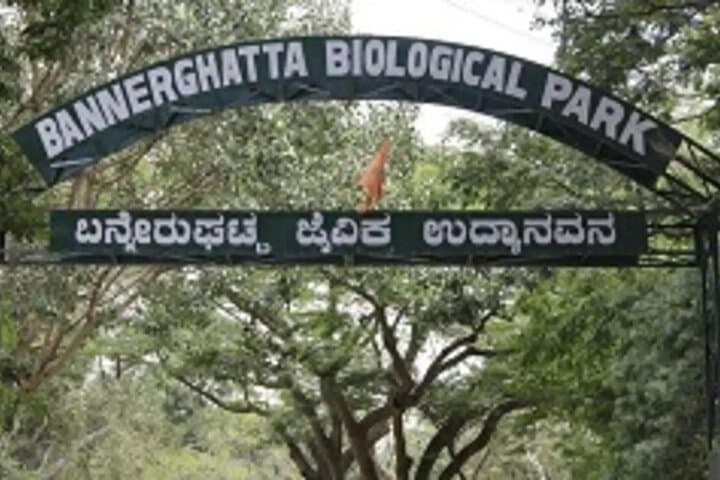 Bannerghatta to Bangalore: Private Day Tour of Wildlife and City Sights