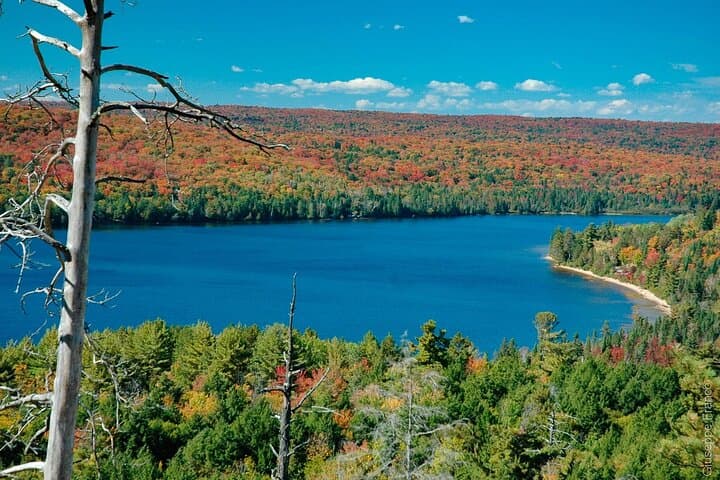 Toronto to Algonquin: 4-Day Small-Group Eastern Canada Escape photo 2