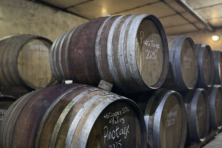 Dekkersvlei Wine Tasting & Vineyard Walk in Paarl photo 2