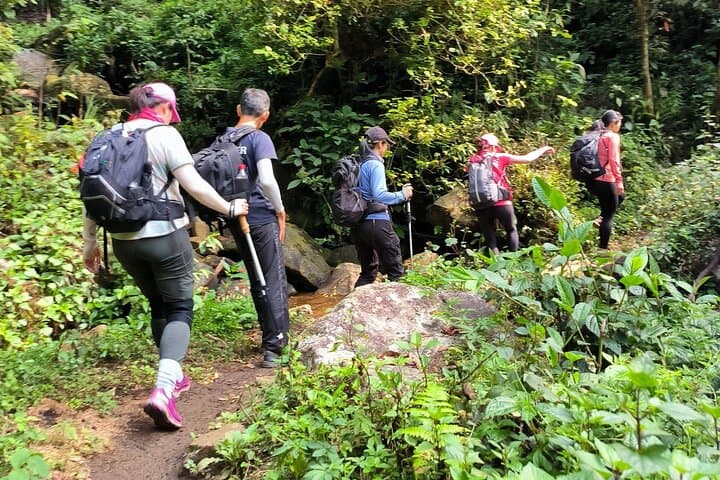 Ta Lien Son Cloud-Hunting Trek: 2D1N Sapa Summit Adventure photo 5