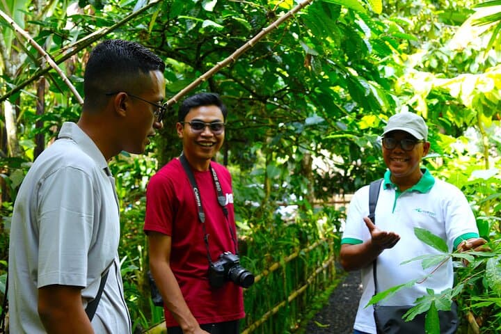 One-Day Bali Highlights: Gongs, Coffee & Penglipuran Village