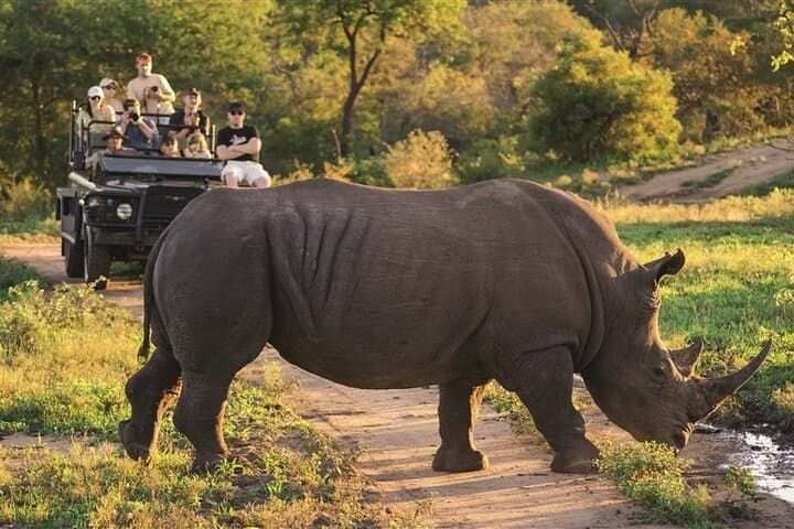 Luxury Safari from Victoria Falls to Kruger & Cape Town — 12-Day South Africa and Zimbabwe Itinerary photo 3