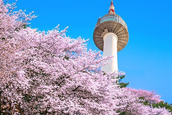 Flexible Private Seoul Guided Tour — Incheon Layover Friendly photo 4