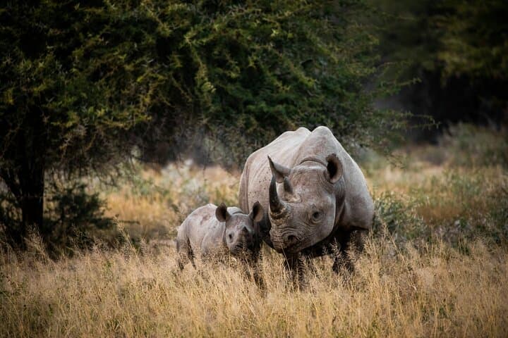 Kruger National Park and Panorama Route Explorer — 5-Day Safari & Panorama Route Drive photo 3