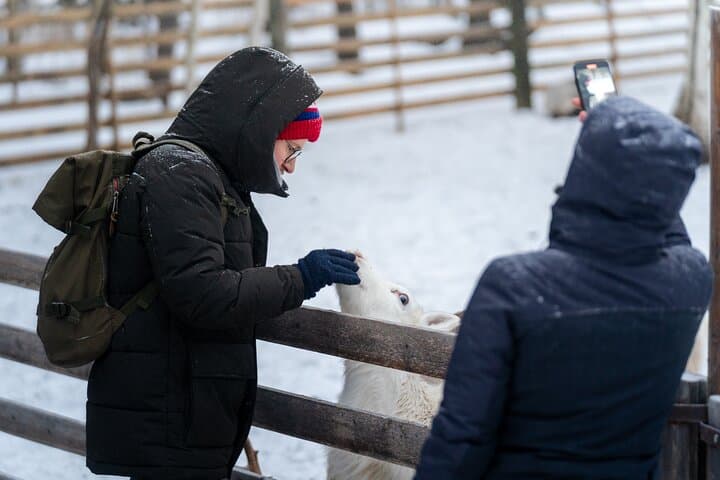 Rovaniemi Reindeer Farm Visit and Short Sleigh Ride photo 3