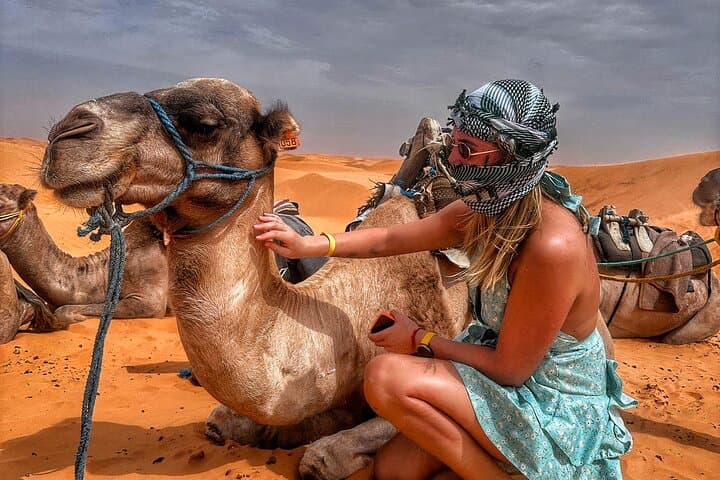Djerba Desert Overnight: Sunset to Sunrise at Ksar Ghilane Oasis photo 2