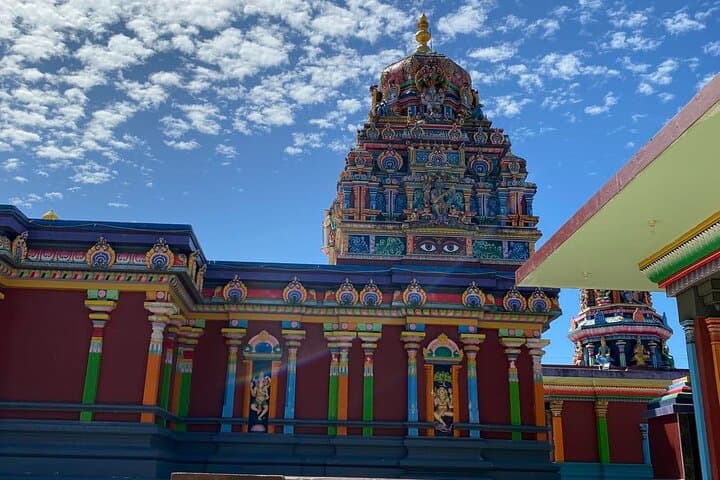 Half-Day Nadi Tour: Temple, Namaka Market, Garden of the Sleeping Giant & Sabeto Mud Pools photo 5