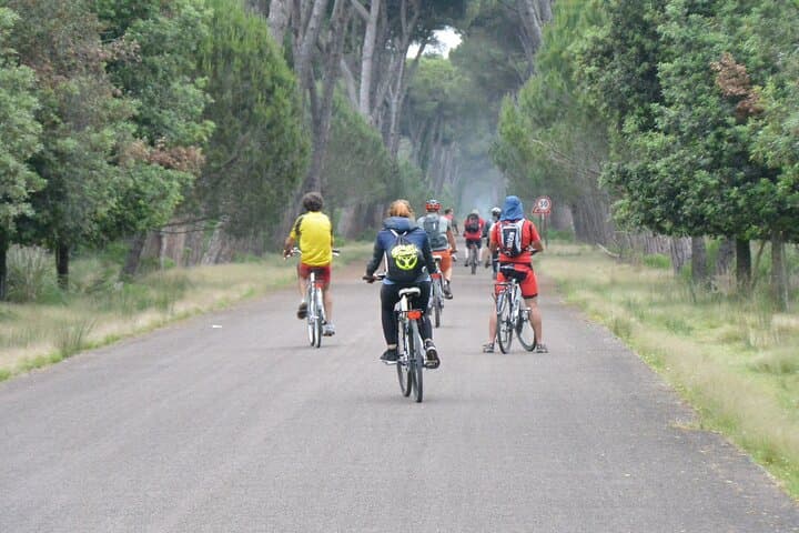 San Rossore Park by Bike — Family-Friendly Self-Guided Cycling Near Pisa
