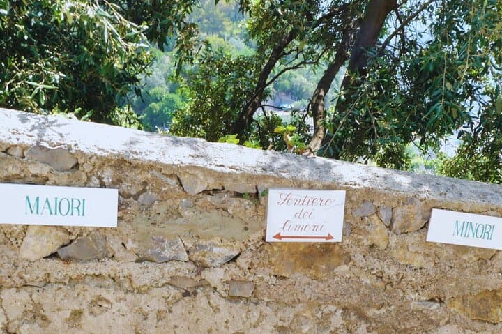 Amalfi Coast Path of the Lemons Hike — Maiori to Minori Lemon Grove Walk photo 4