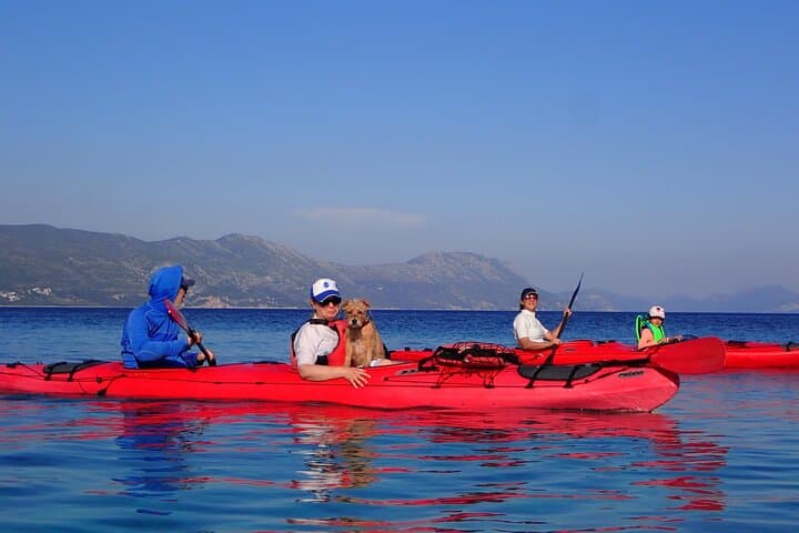 Half-Day Sea Kayak Tour Between Korčula and Lumbarda photo 5