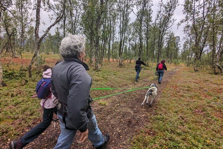 Husky Hike in Tromsø: Private Forest Trek with Happy Tails Huskies photo 3