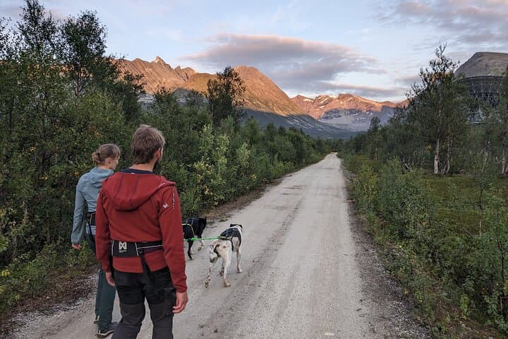 Husky Hike in Tromsø: Private Forest Trek with Happy Tails Huskies photo 4