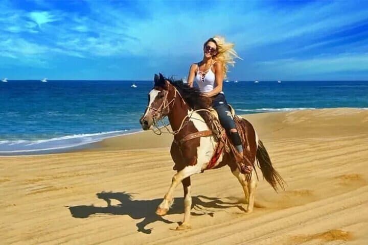 Doha Desert Horseback Riding: Guided Arabian Horse Experience with Transport photo 5