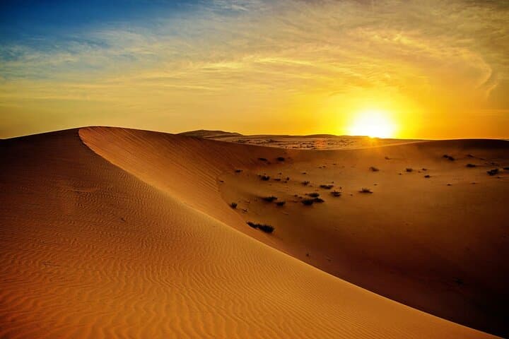Desert Horseback Riding from Doha: 45-Minute Guided Ride Across Qatari Sands photo 3