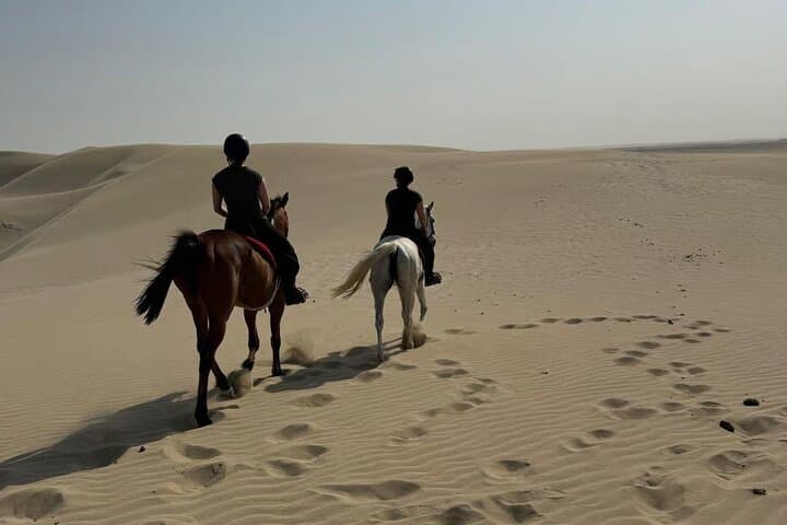 Doha Desert Horseback Riding: Guided Arabian Horse Experience with Transport photo 2