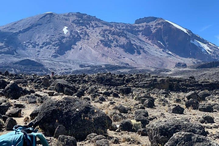8-Day Lemosho Route Kilimanjaro Climb: Shira Plateau to Uhuru Peak photo 1