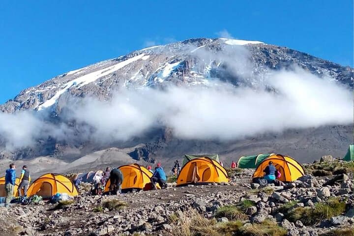Kilimanjaro Rongai 7-Day Private Trek — Acclimatization Day & Meals Included photo 5