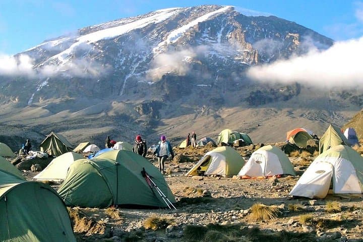 8-Day Lemosho Route Kilimanjaro Climb: Shira Plateau to Uhuru Peak photo 3