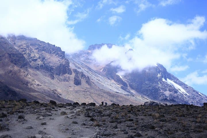 8-Day Lemosho Route Kilimanjaro Climb: Shira Plateau to Uhuru Peak photo 4