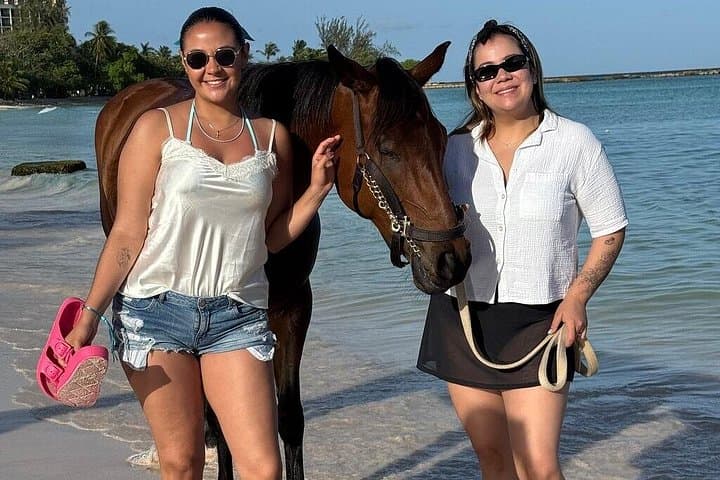 Private Evening Horse Ride on Bridgetown Beach — Sunset Horseback Photo Experience photo 3