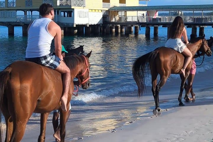 Private Evening Horse Ride on Bridgetown Beach — Sunset Horseback Photo Experience photo 4