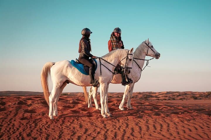 Doha Desert Horseback Riding Adventure & Majlis Cultural Experience