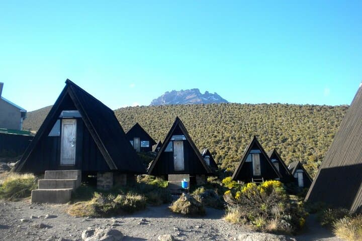 6-Day Kilimanjaro Climb via Marangu Route: Hut-to-Hut Ascent to Uhuru Peak