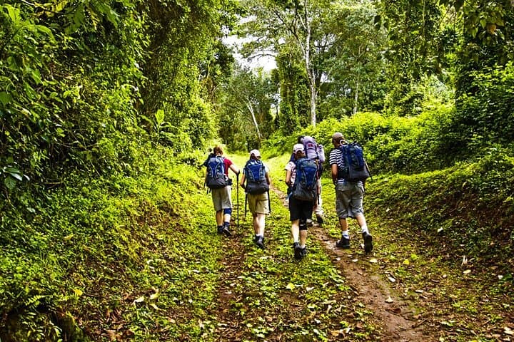 6-Day Kilimanjaro Climb via Marangu Route: Hut-to-Hut Ascent to Uhuru Peak photo 2