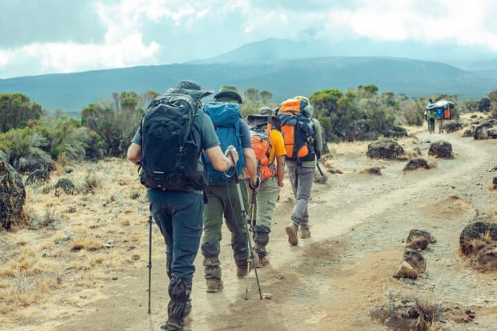 6-Day Kilimanjaro Climb via Marangu Route: Hut-to-Hut Ascent to Uhuru Peak photo 3