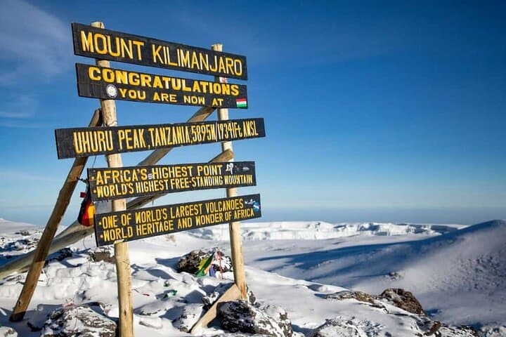 6-Day Kilimanjaro Climb via Marangu Route: Hut-to-Hut Ascent to Uhuru Peak photo 6