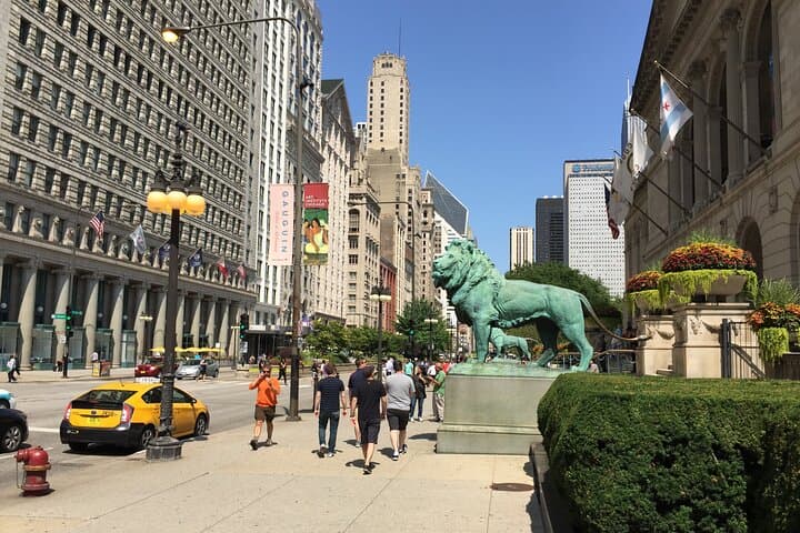 Private Chicago City Tour by Car: Personalized 4-Hour Urban Highlights