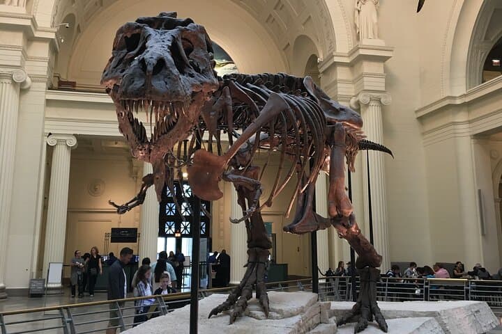 Private Chicago City Tour by Car: Personalized 4-Hour Urban Highlights photo 6