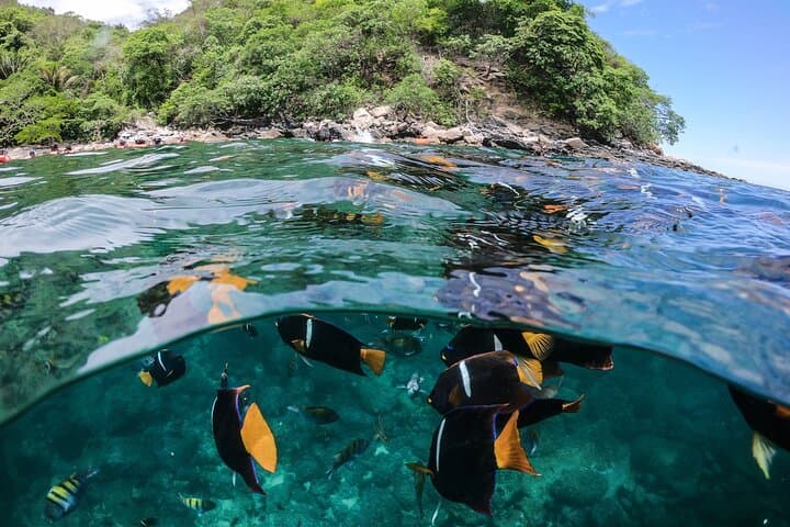 Marietas Islands Private Sailing Tour from Puerto Vallarta — 8-Hour Snorkel & Hidden Beach Visit photo 5